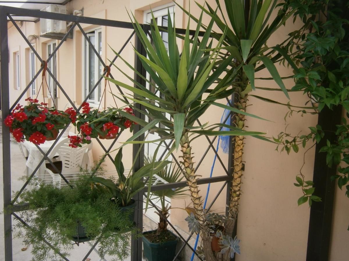 Апартаменты Apartments & Rooms Marina Херцег-Нови-41